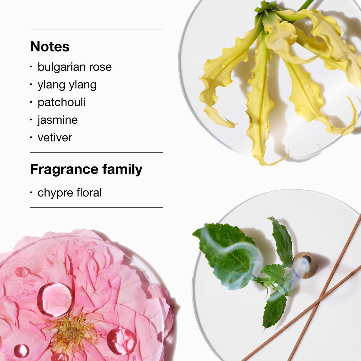 Aromatics Elixir™ Eau de Perfume Spray