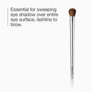 Eye Shader Brush