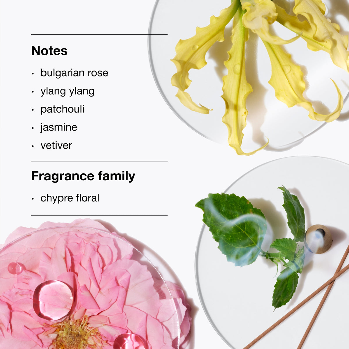 Aromatics Elixir Ritual Fragrance Duo, Alt