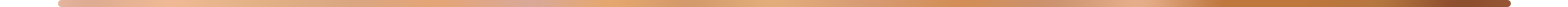 Thin vertical bar displaying gradient of shades from light to dark