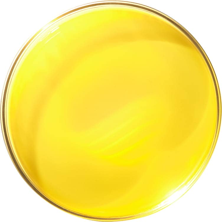 Close up macro shot of antioxidants in dermatologist glass petri dish