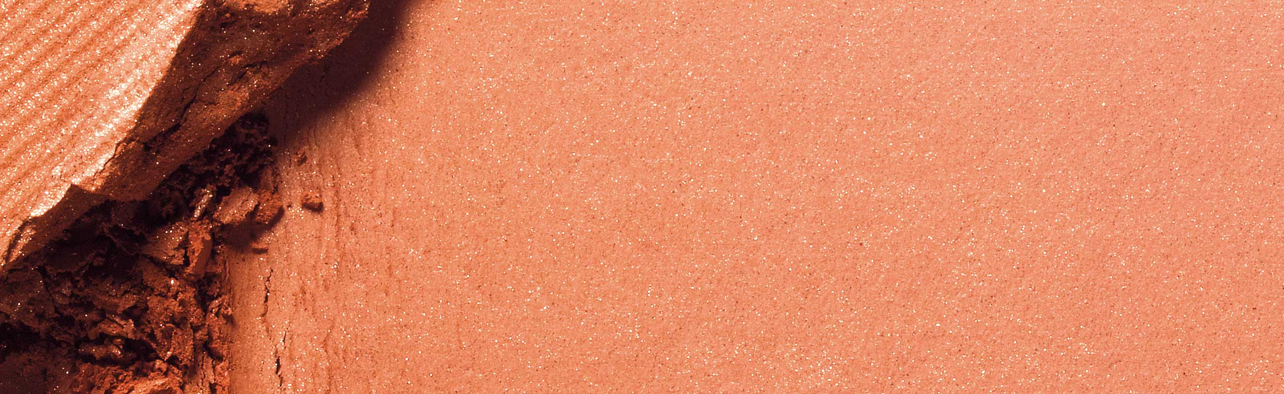 Bronzer & Highlighter Makeup
